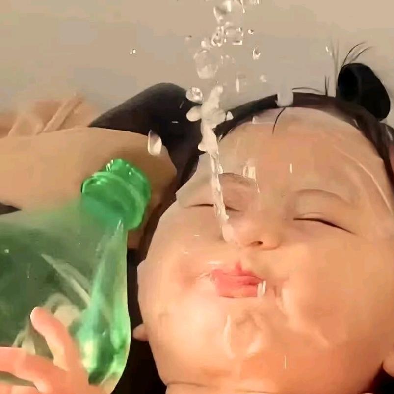 小小摆烂家🧸