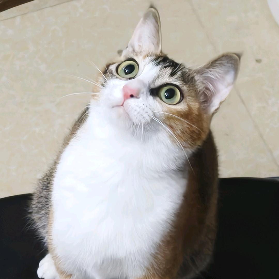 薯条