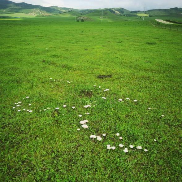 龙🐲腾🐉四🐉海