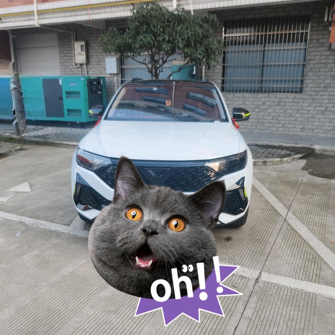 青哥爱玩车（砥砺前行）