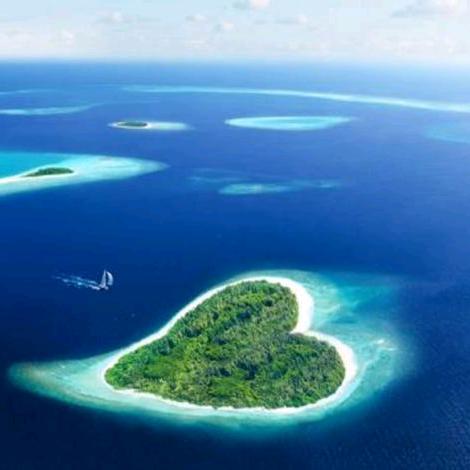 ❤️暖心向阳🌞