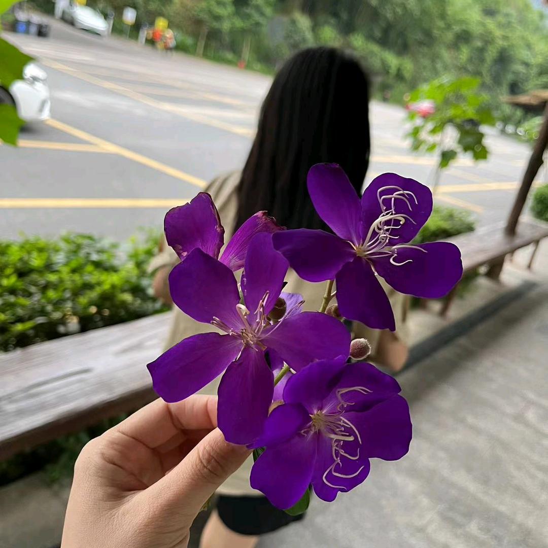 坤坤麻麻