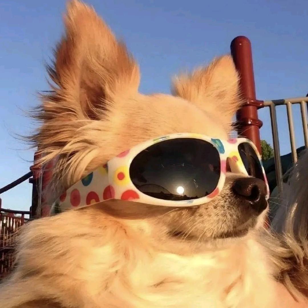 细节嘲讽(数码推荐）