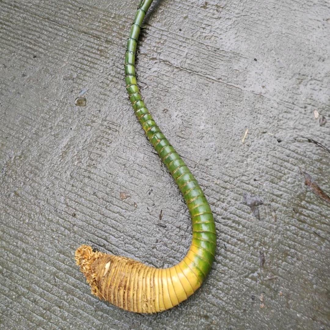 ღ᭄💞别碰🍀我💔心ღ᭄ ?