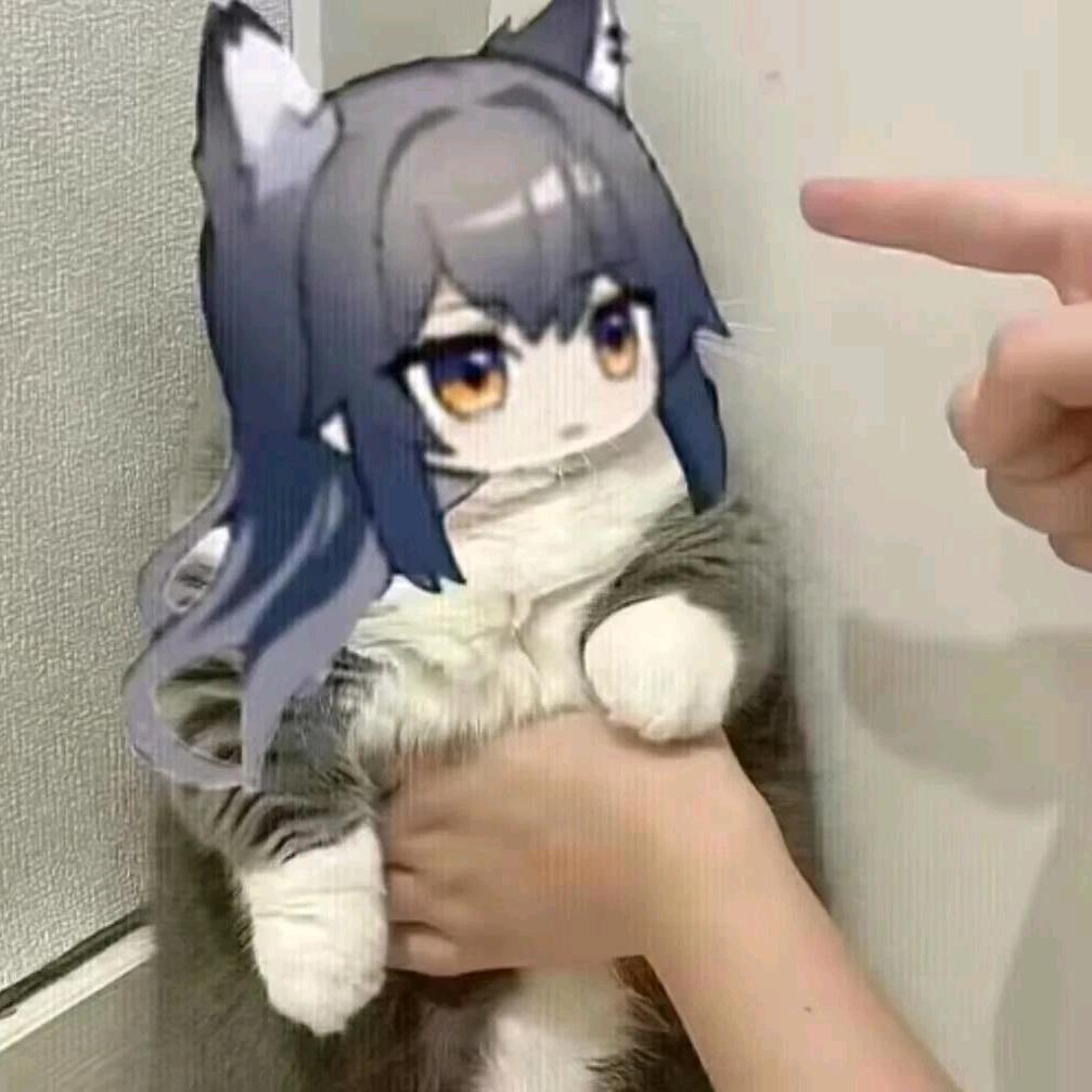 德德の