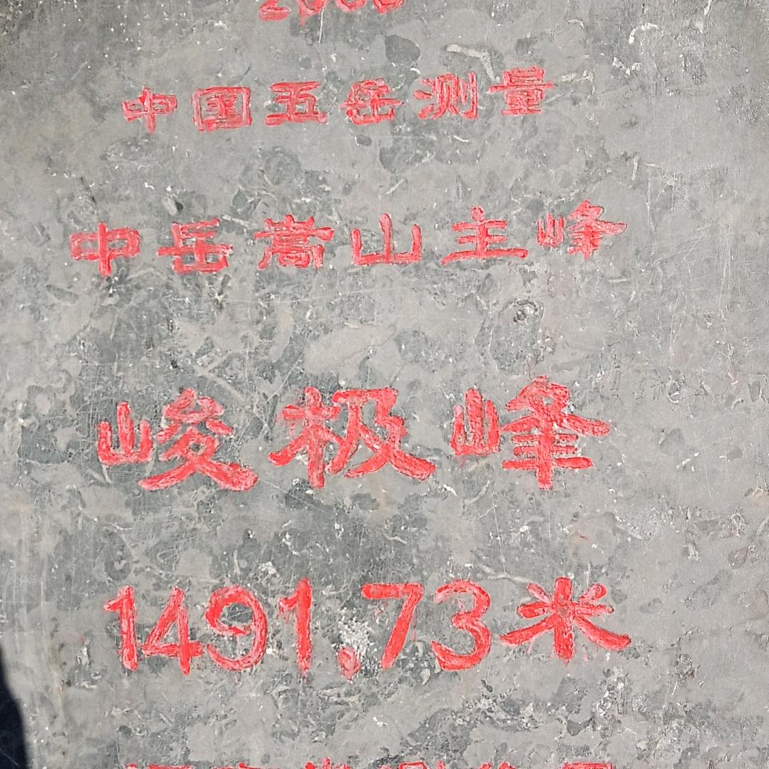 洋哥
