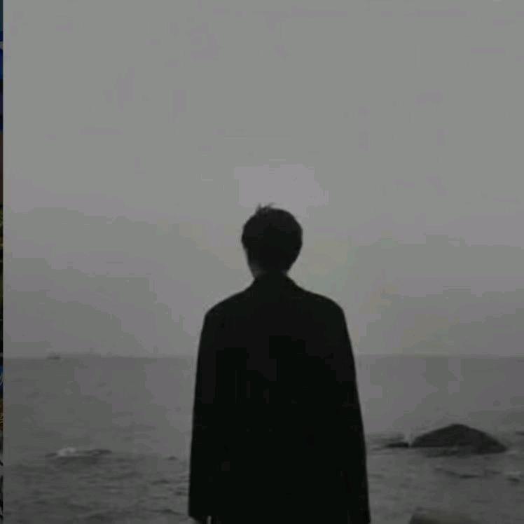 我不吃荔枝