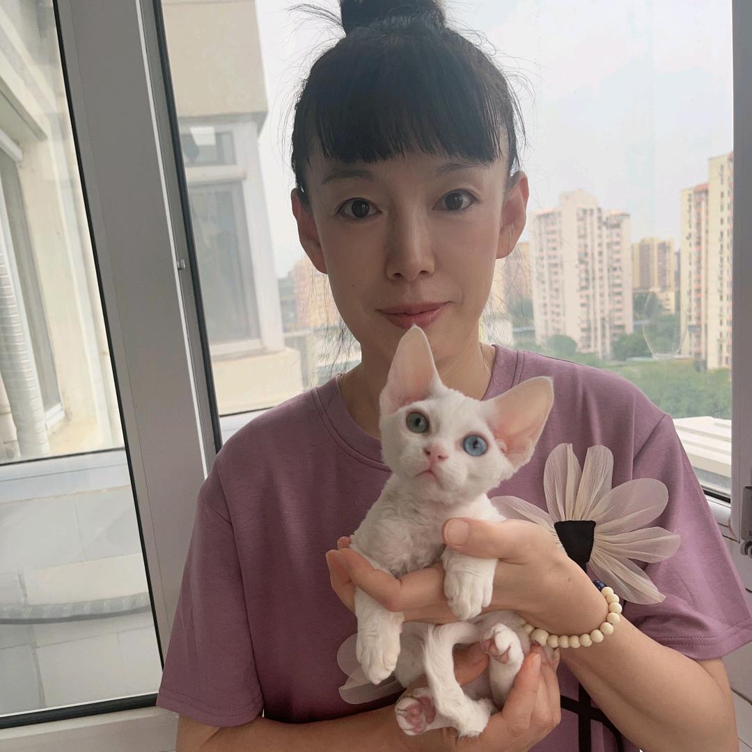 宇道传讯者🔮一鸣