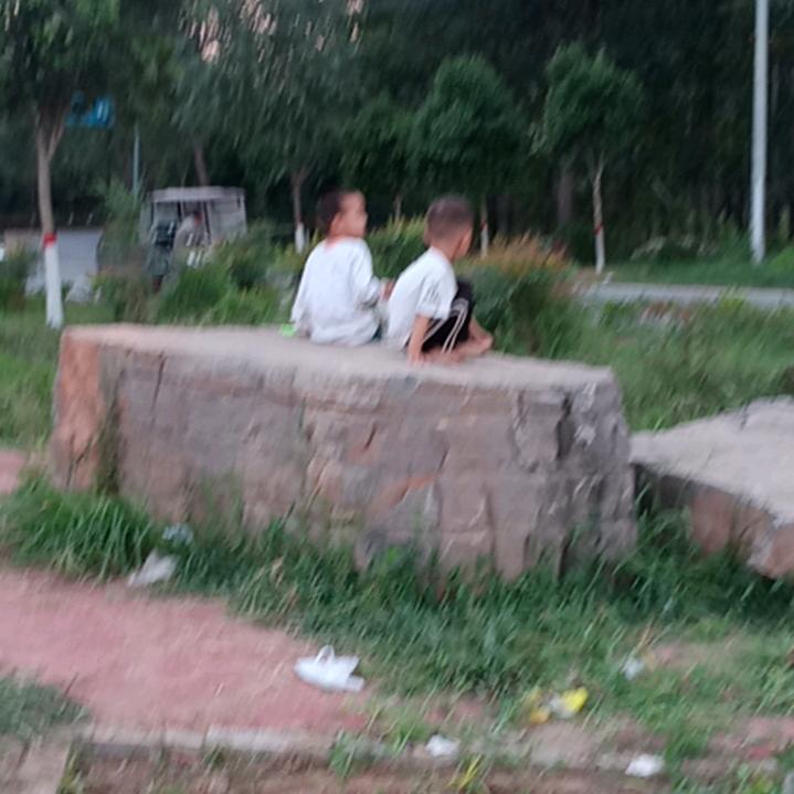 一☘️知秋