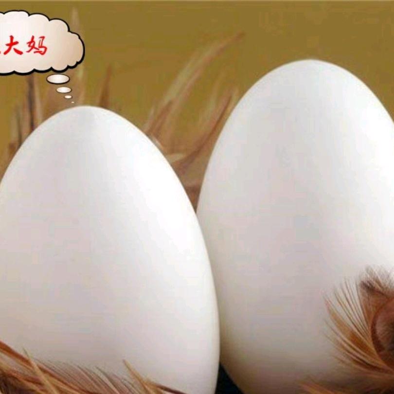 郓城亮欣蛋业
