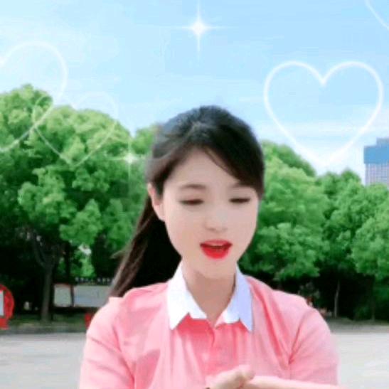 燕子🅷