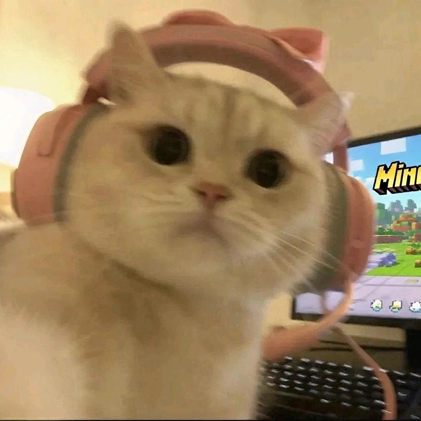 杀就完了头像