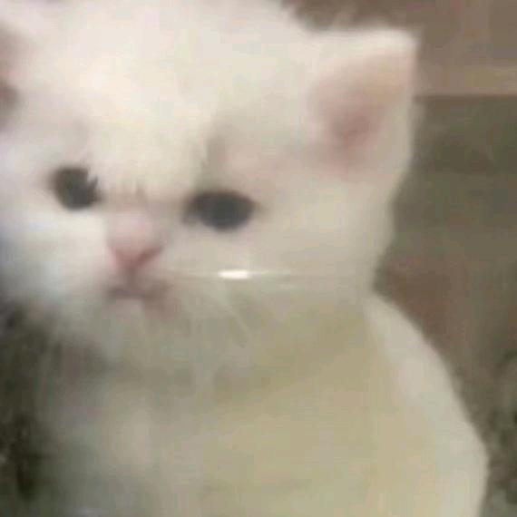 闲敲棋子落灯花