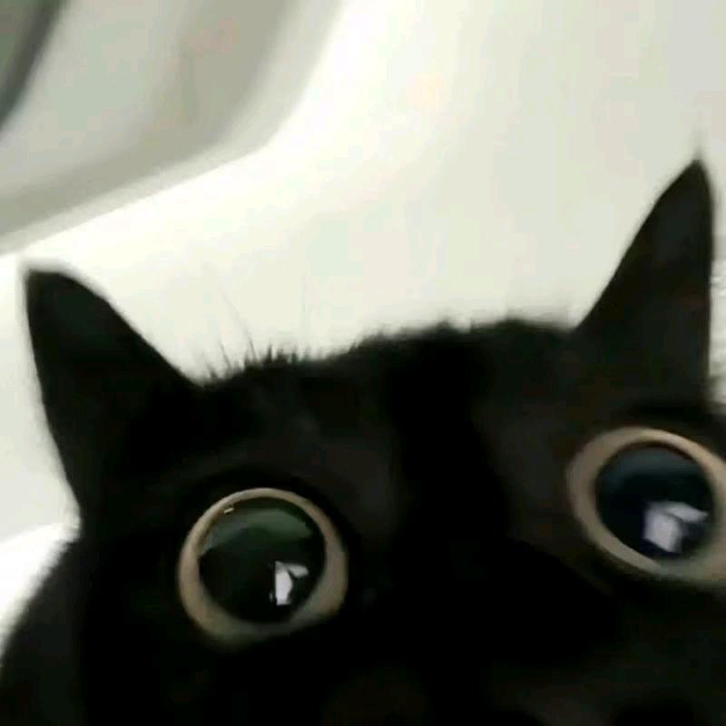 …