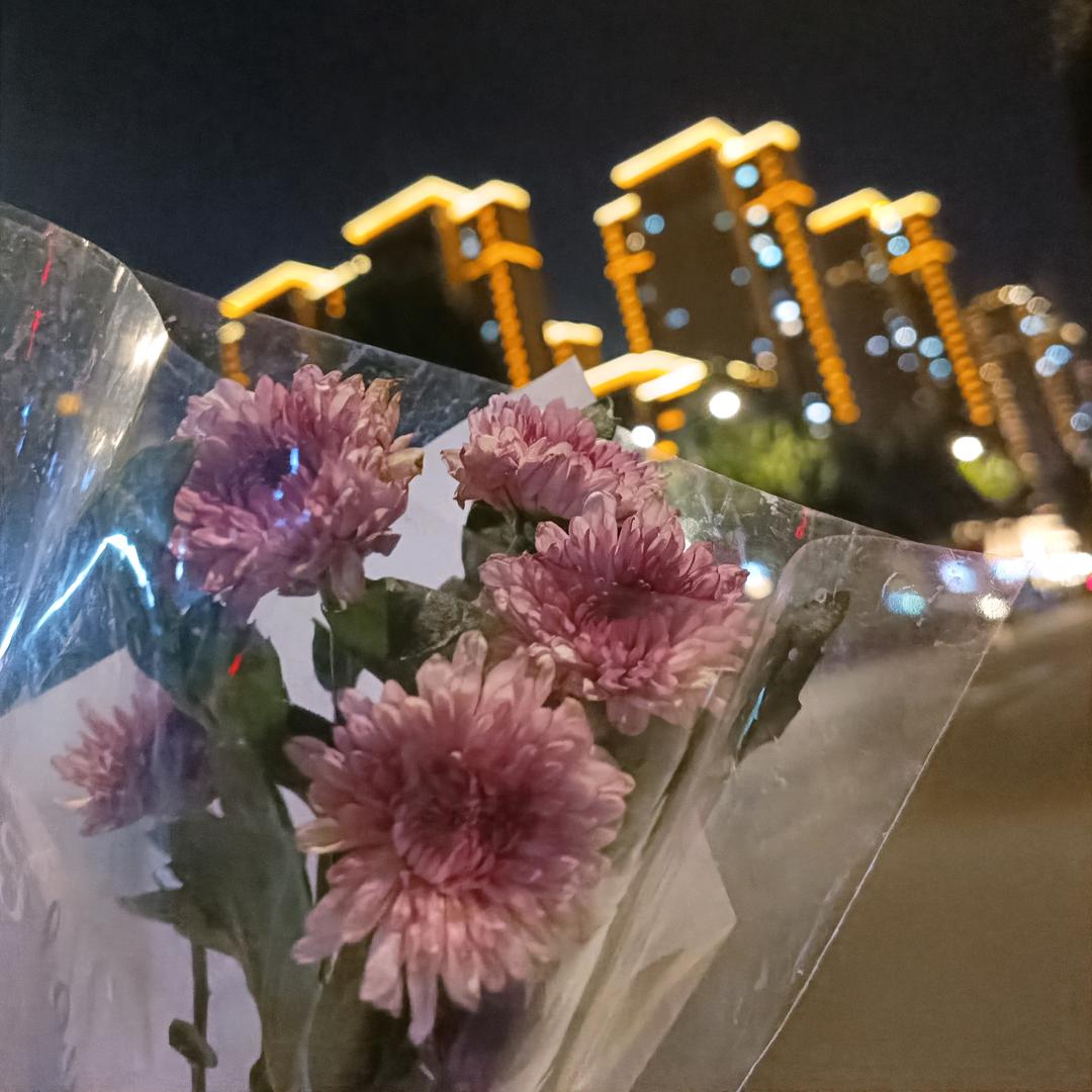 与你初见，予你心安！