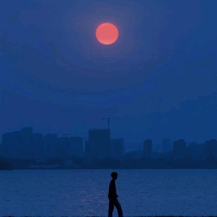 π大星