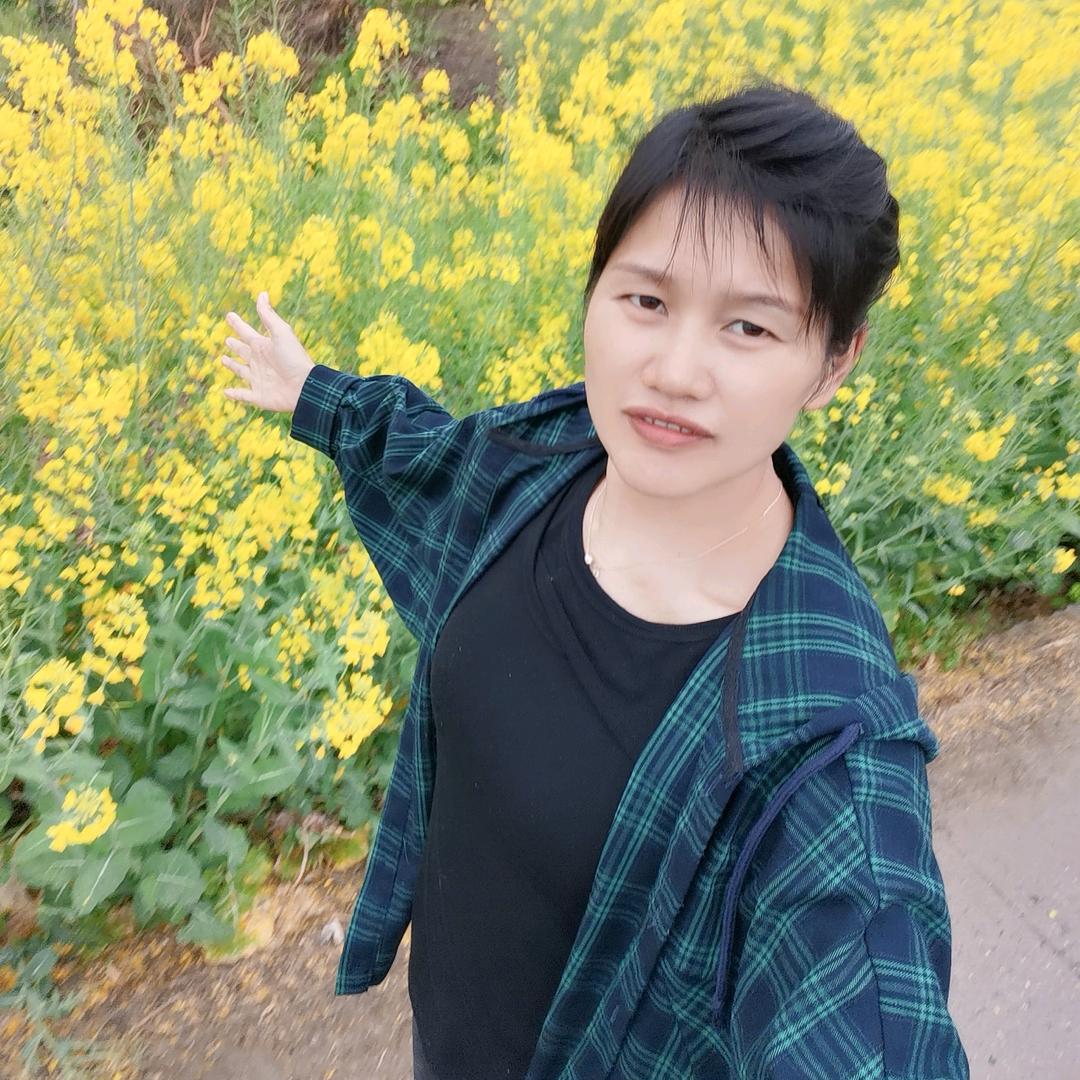 忘忧草🍀🍀🍀