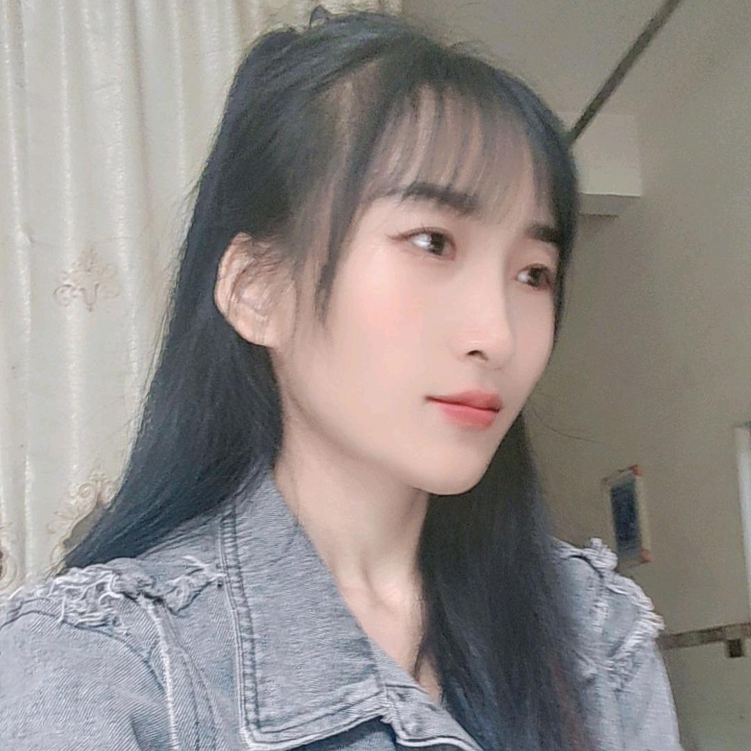 小菊新号