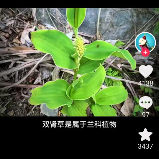 雄霸天下
