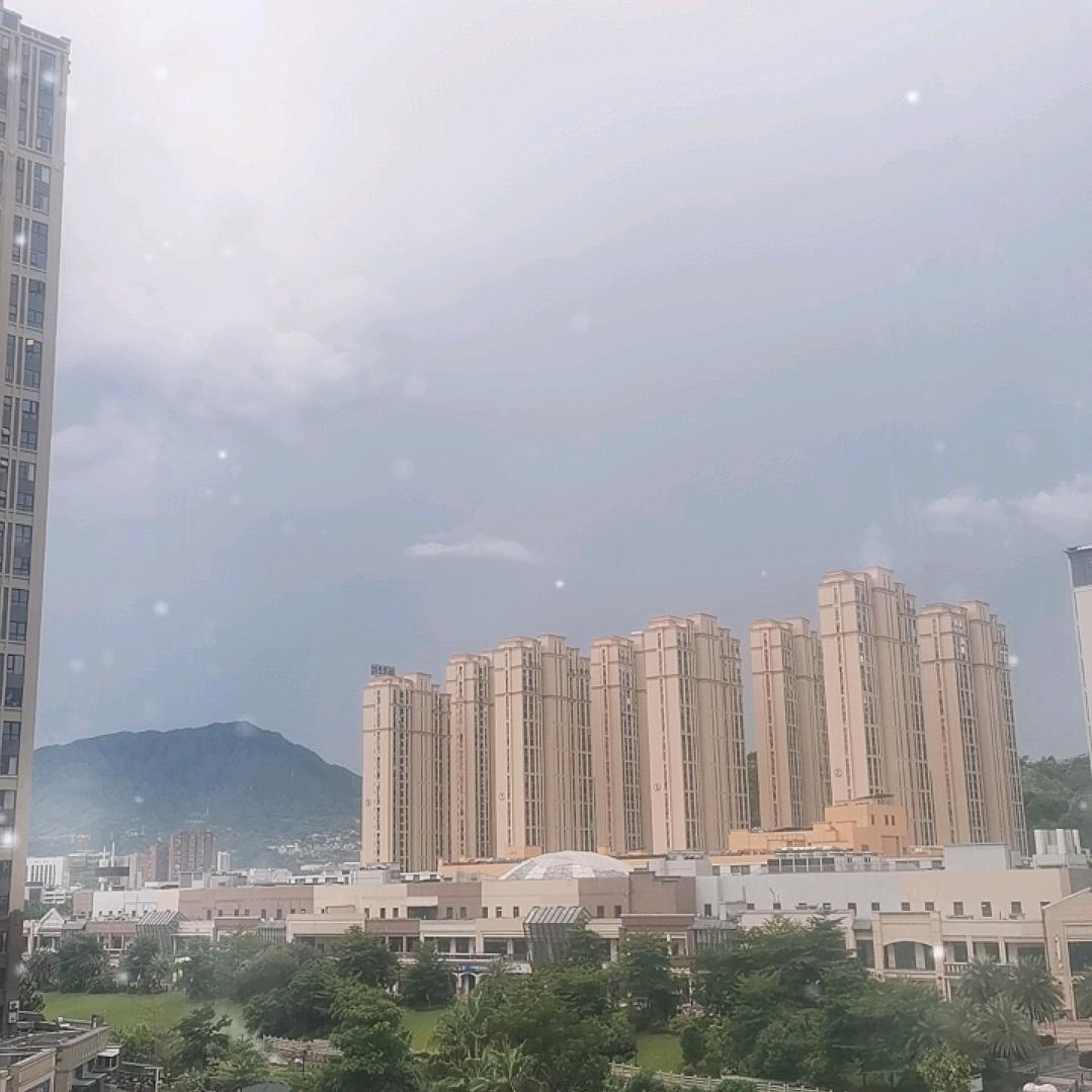 陈凤英
