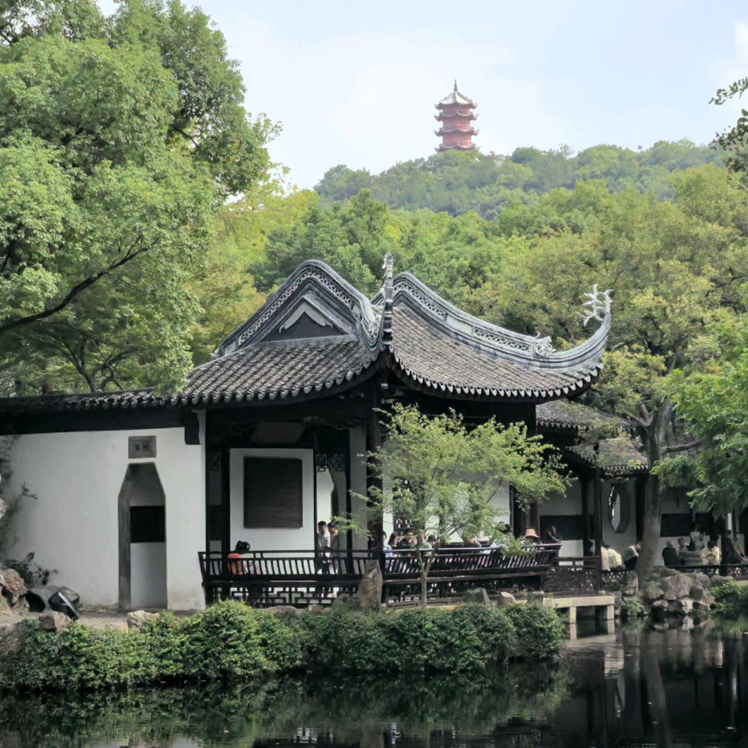 ꧁༺༽༾ཊ包子༼༻