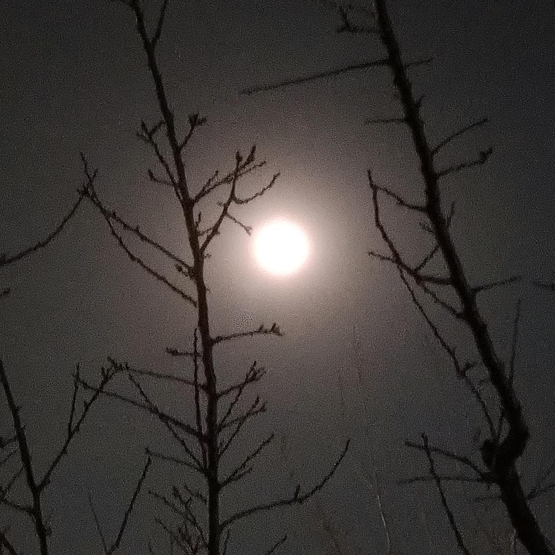 天地盖面佛