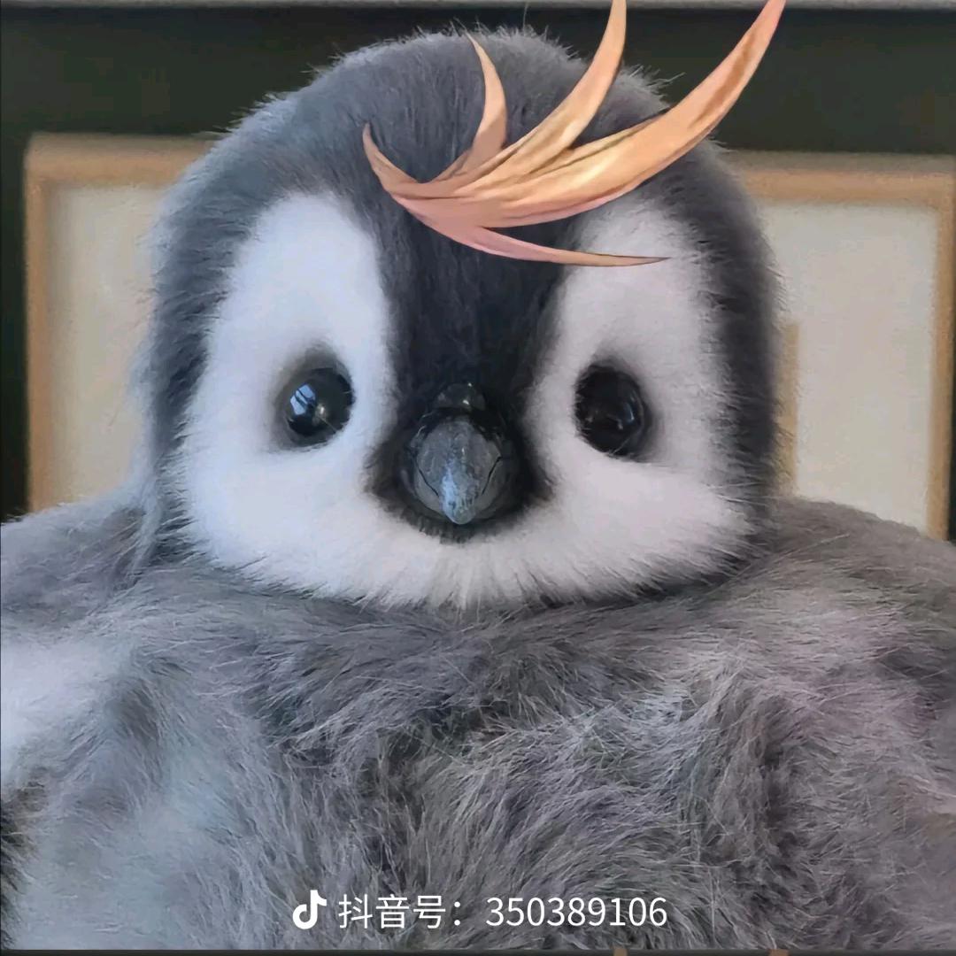 嘿嘿嘿嘿嘿嘿嘿