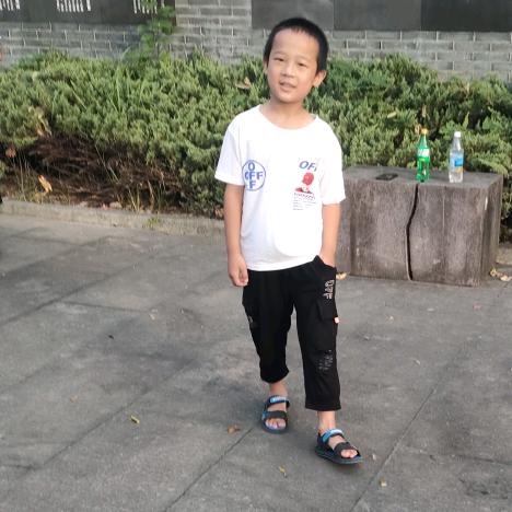 小鸟