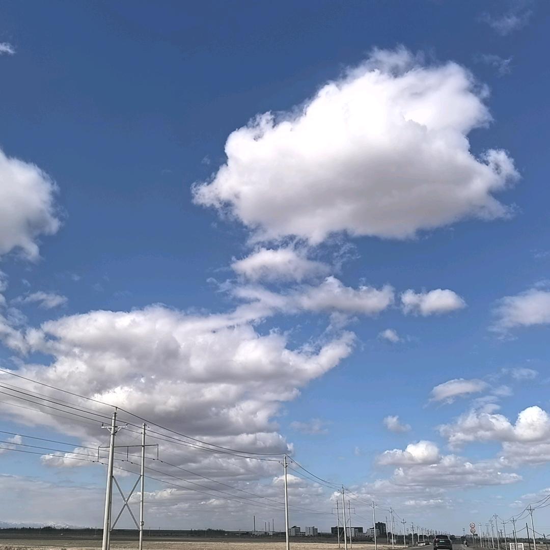 王大可球星卡社