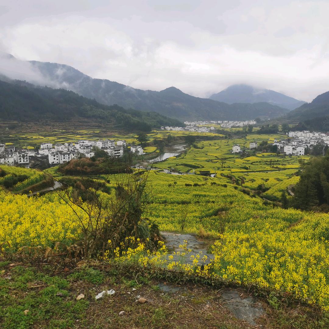 听风观雨