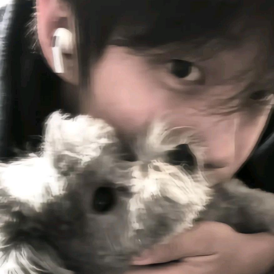 DuangDuang～˙.•᷅ࡇ•᷄.