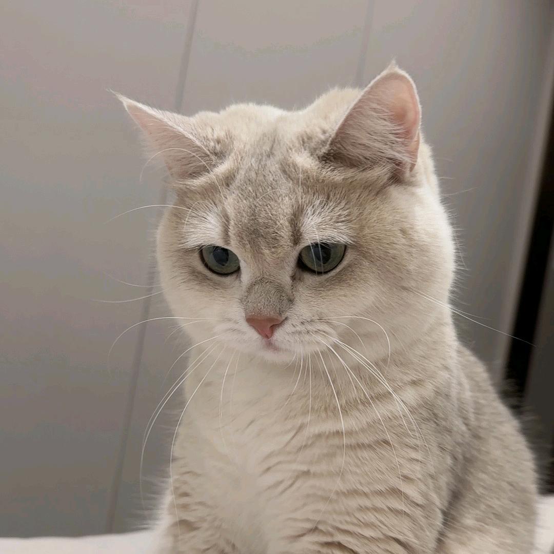 冬冬✨⁹⁵²¹（封票中）