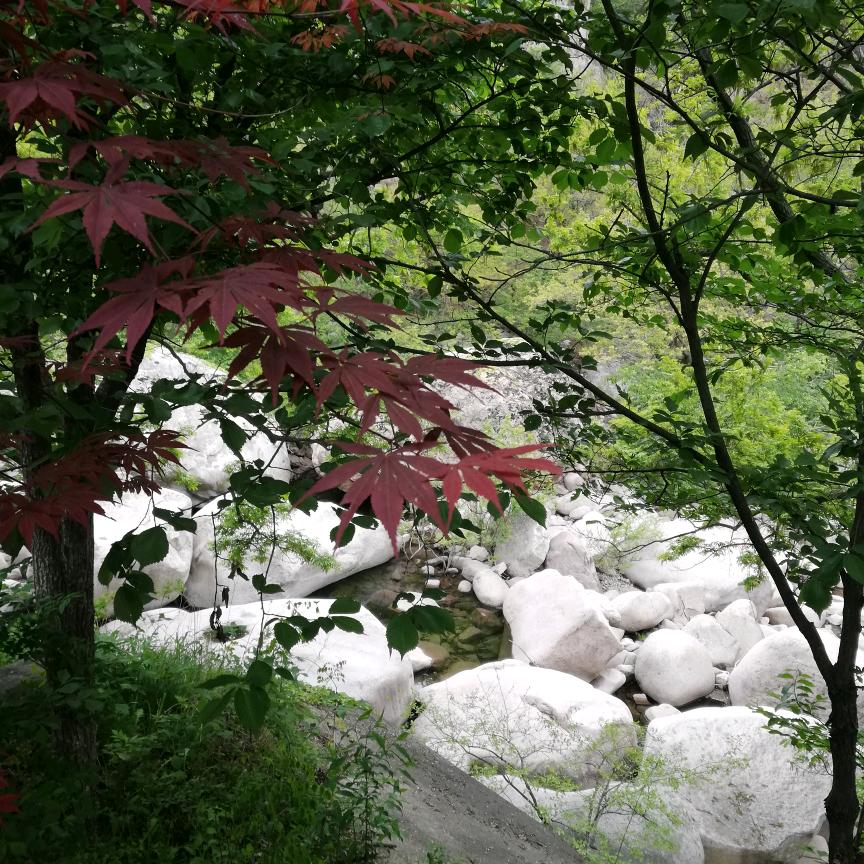 山&水