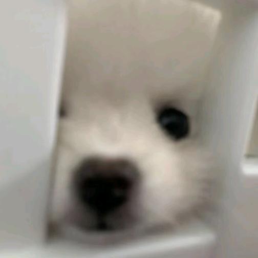 小船