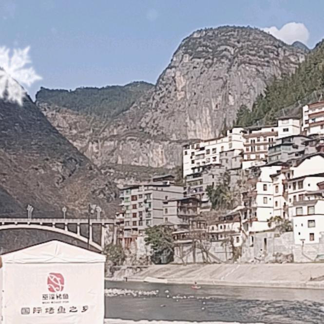 流浪江湖