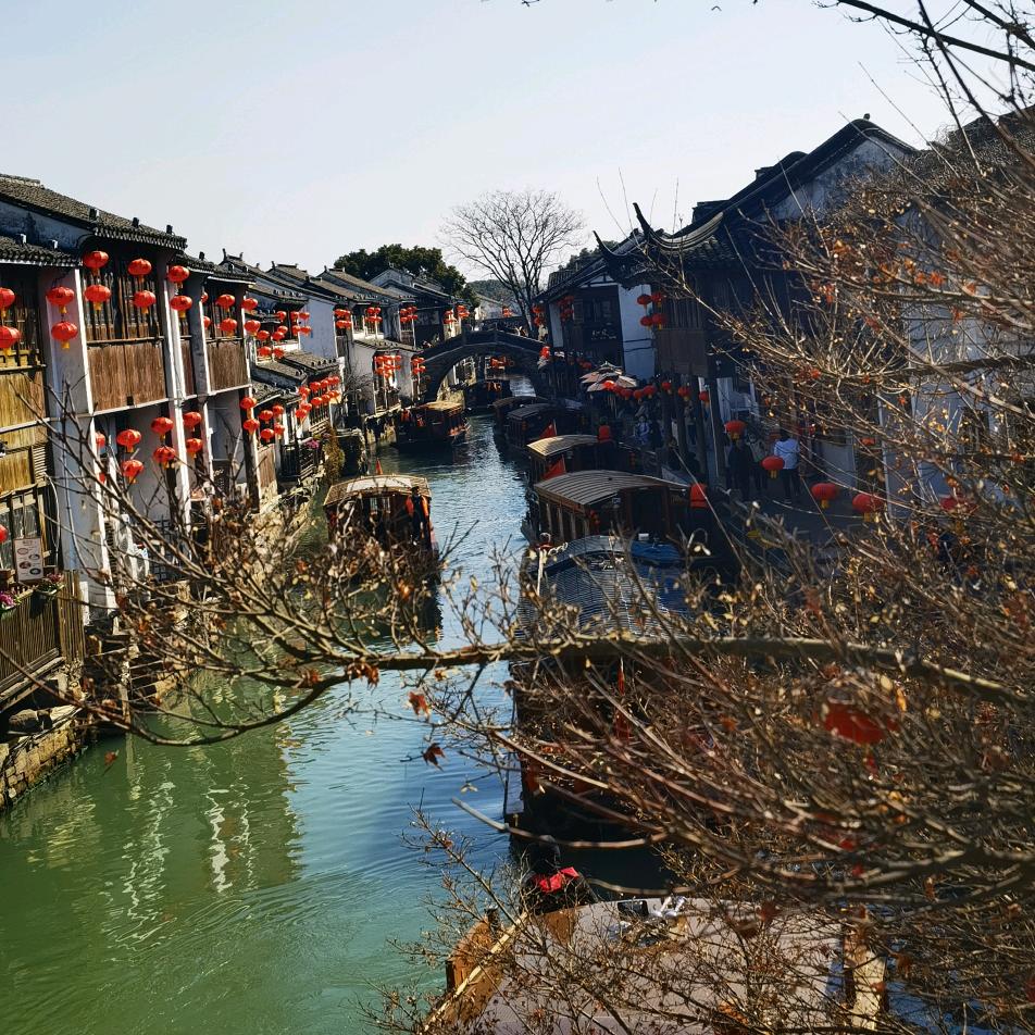 小马日记