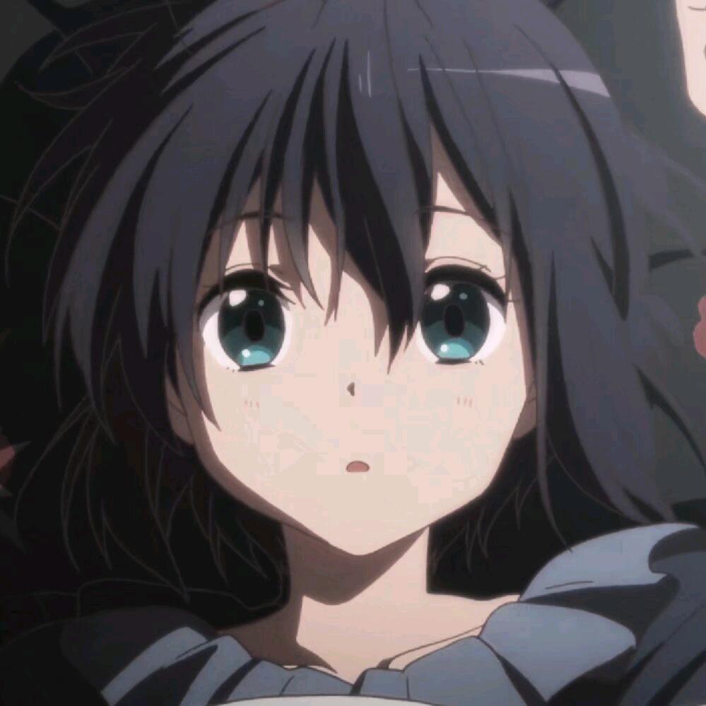 西红柿炒鸡蛋（不吃西红柿）