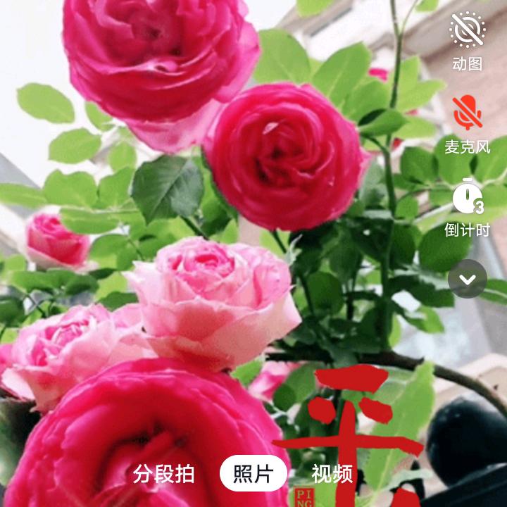 快樂人生