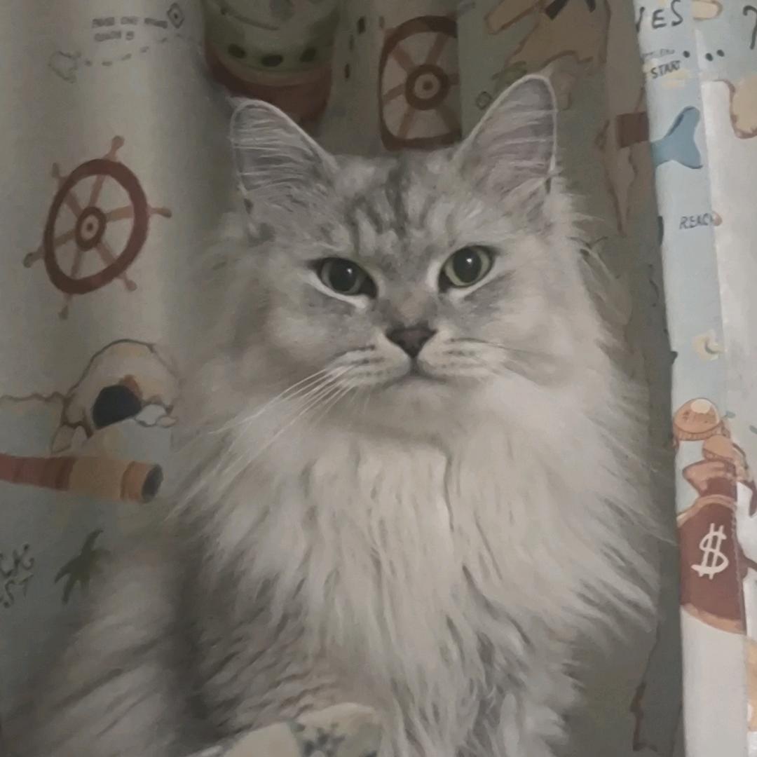 水水