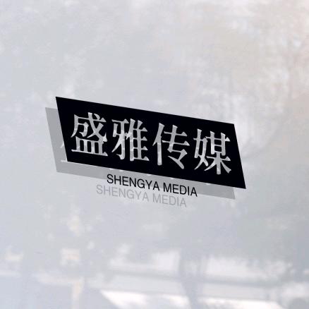 盛雅传媒(团队招人)