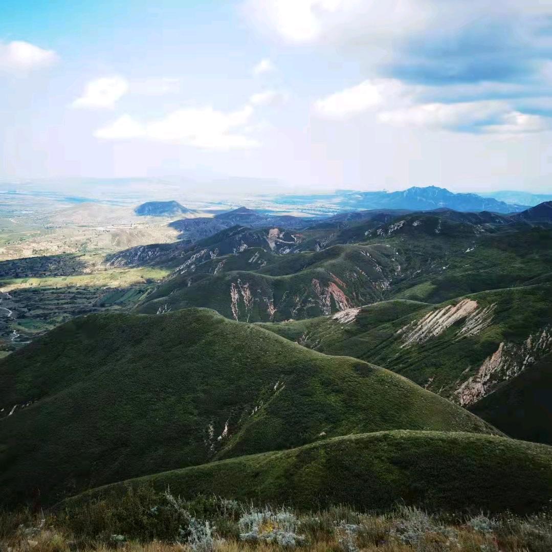 信马由缰⛺️