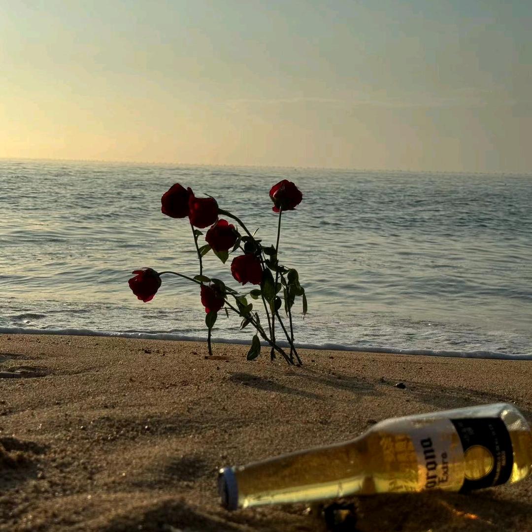 我是谁٩(๑•̀ω•́๑)۶