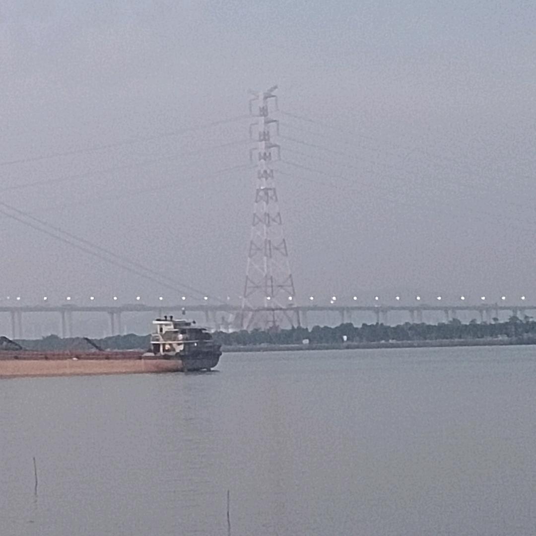 龙龙