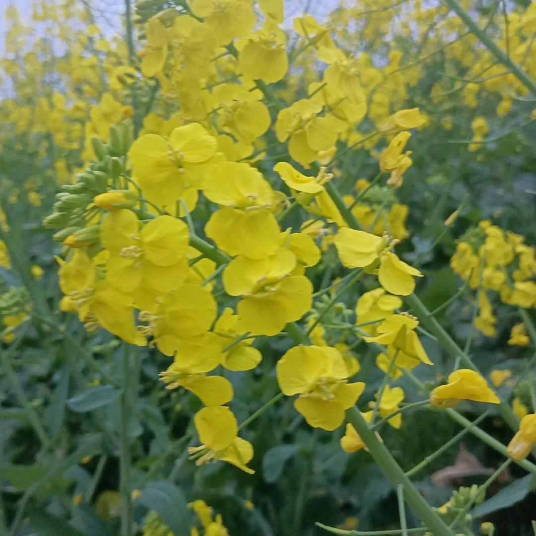 好好爱自己