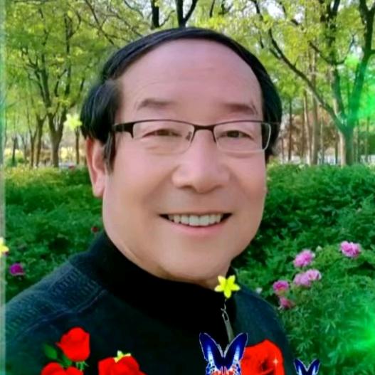 宾宾好物