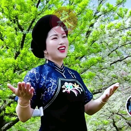 快乐相随，阿苗，布衣姑娘