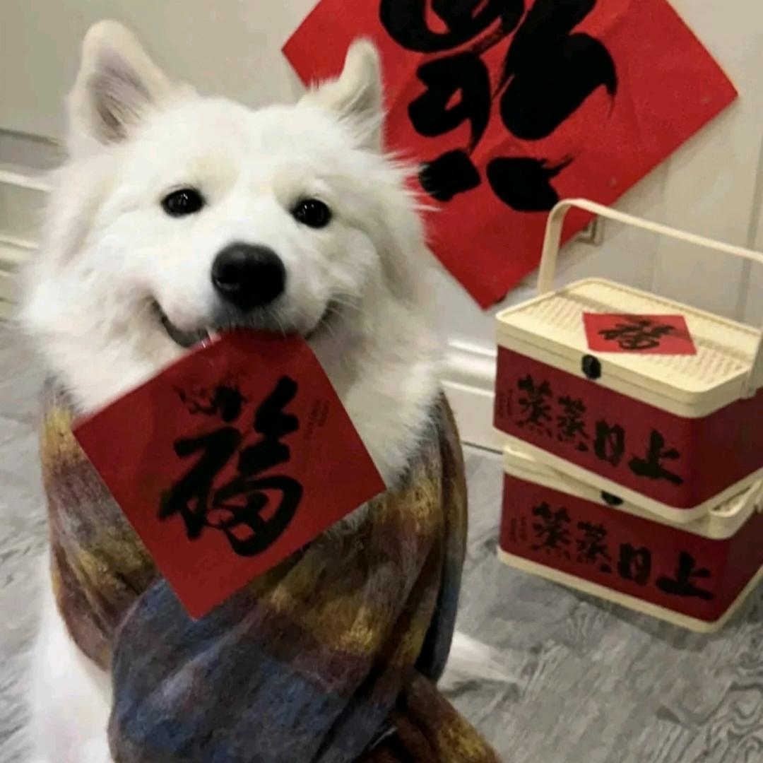 不知名呆毛