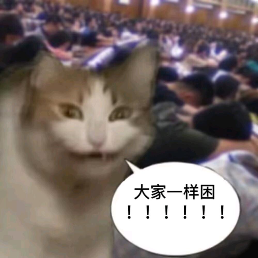 每天都好困(◞‸◟ )