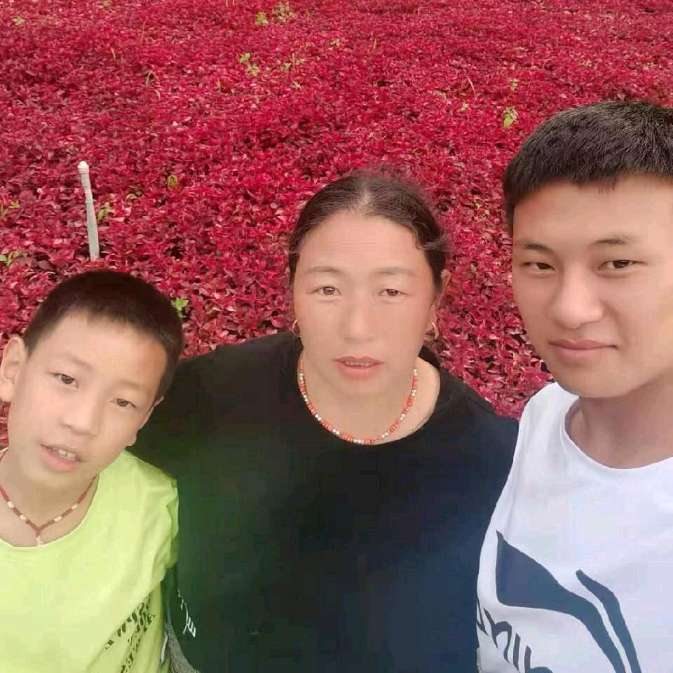 林间诗韵