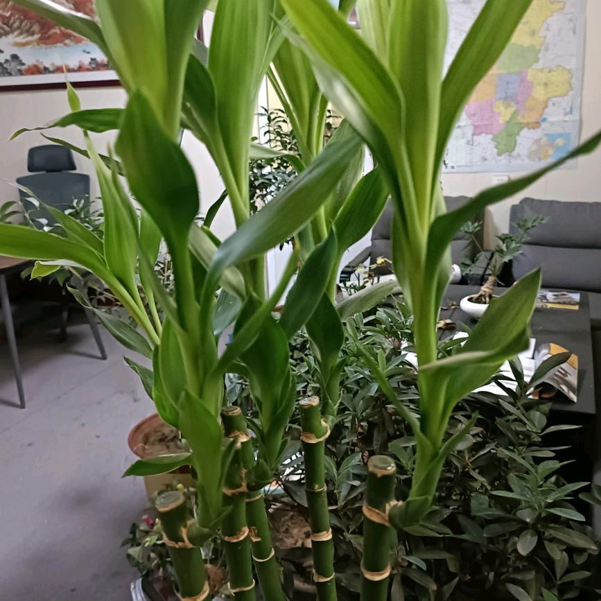 临沂轮胎哥